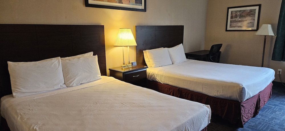 Bellis Inn - photo 11