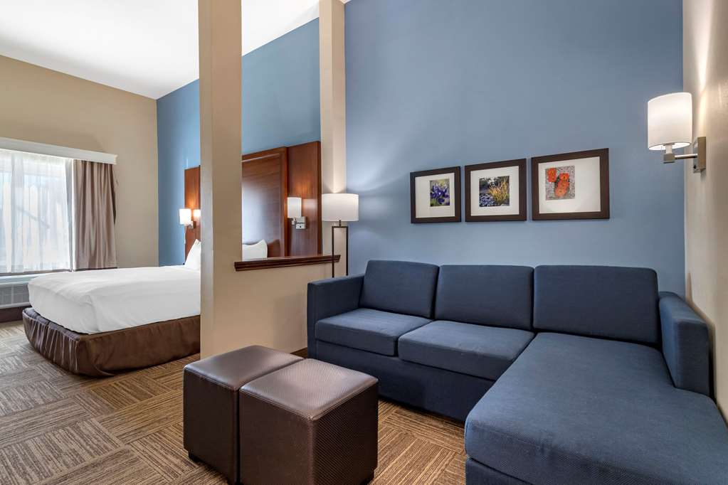 Comfort Suites Cedar Park Austin Northwest - photo 8