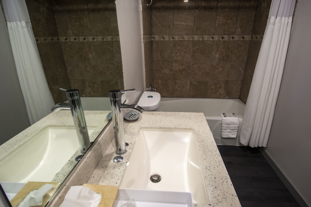Americana Modern Hotel - photo 33