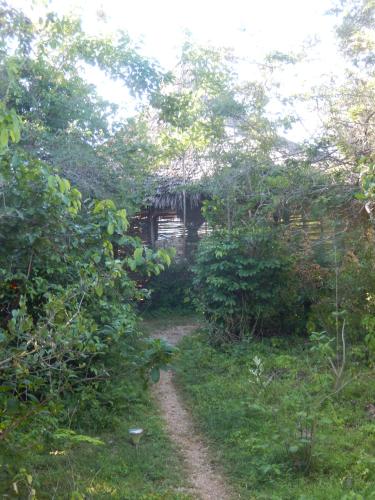 Blue Monkey Beach Cottages in Unknown City, Kenya