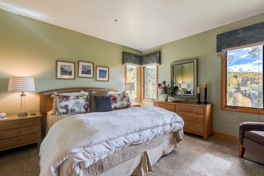 Aspen Ridge 3 In Mountain Village - photo 4
