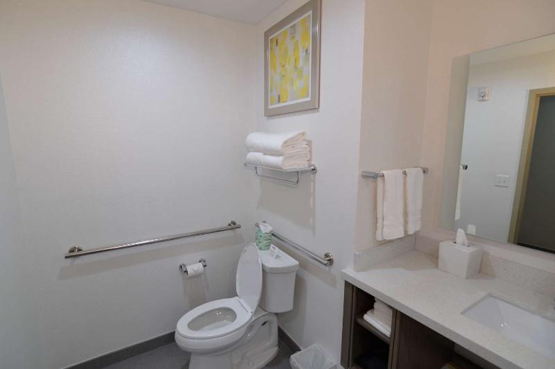 Comfort Inn & Suites Houston I 45 North IAH - photo 15