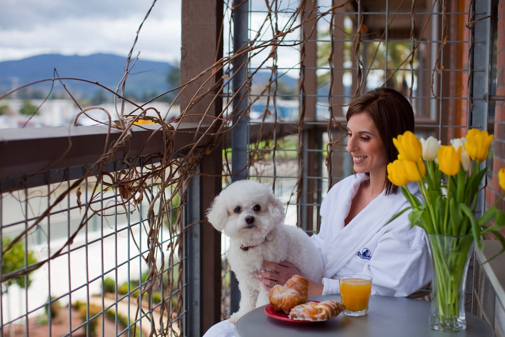Napa River Inn - photo 23
