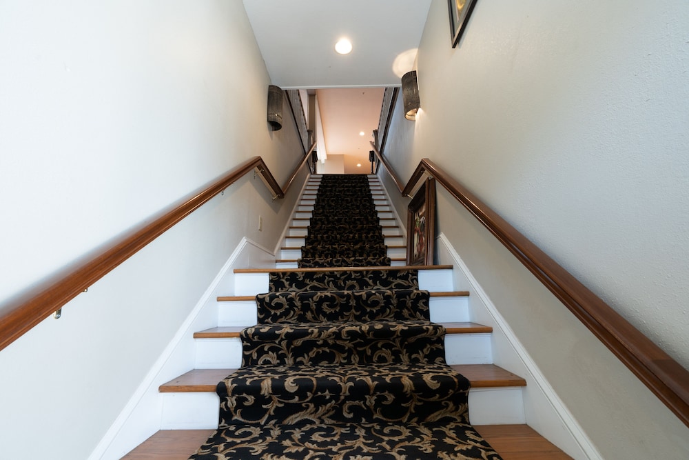 Oaak Tree Hotel - photo 253