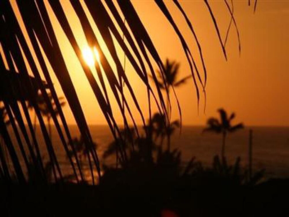 Hideaway Cove Poipu Beach - photo 39