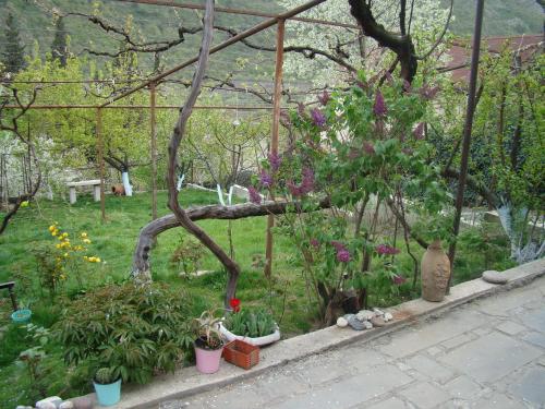 Guest House Ucha