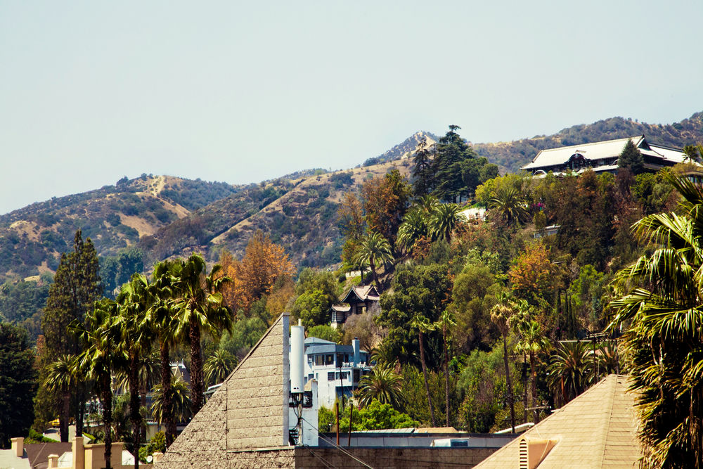 Hollywood Boulevard Extended Stay - photo 23