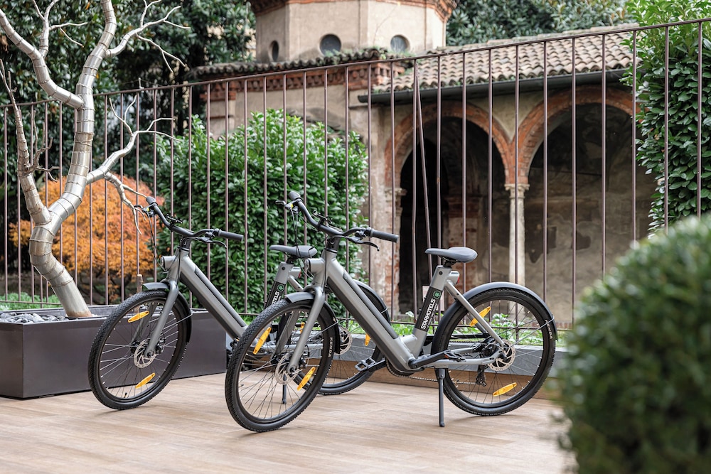 פעילויות וכושר