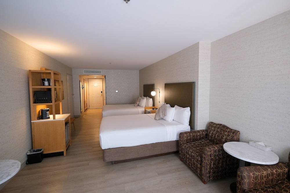 Midnight Rose & McGills Hotel & Casino - photo 16