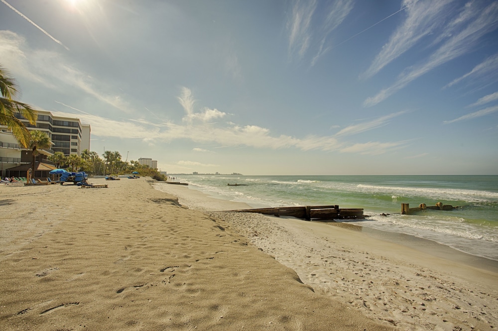 Coquina On The Beach - photo 56
