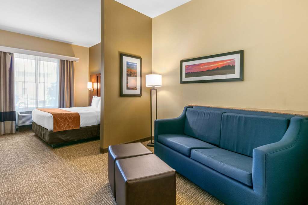 Comfort Suites Forrest City - photo 17