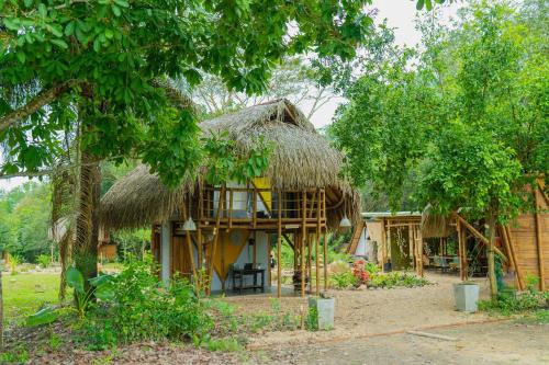 Glamping 8Caminos in Carmen De Apicala, Colombia