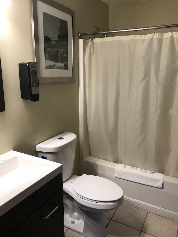 White Birches Motel - photo 68