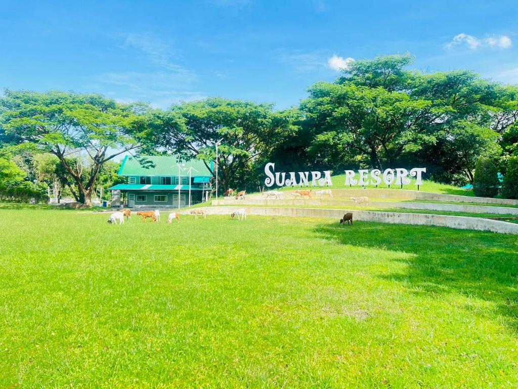 Suanpa Resort — Surin — photo 4