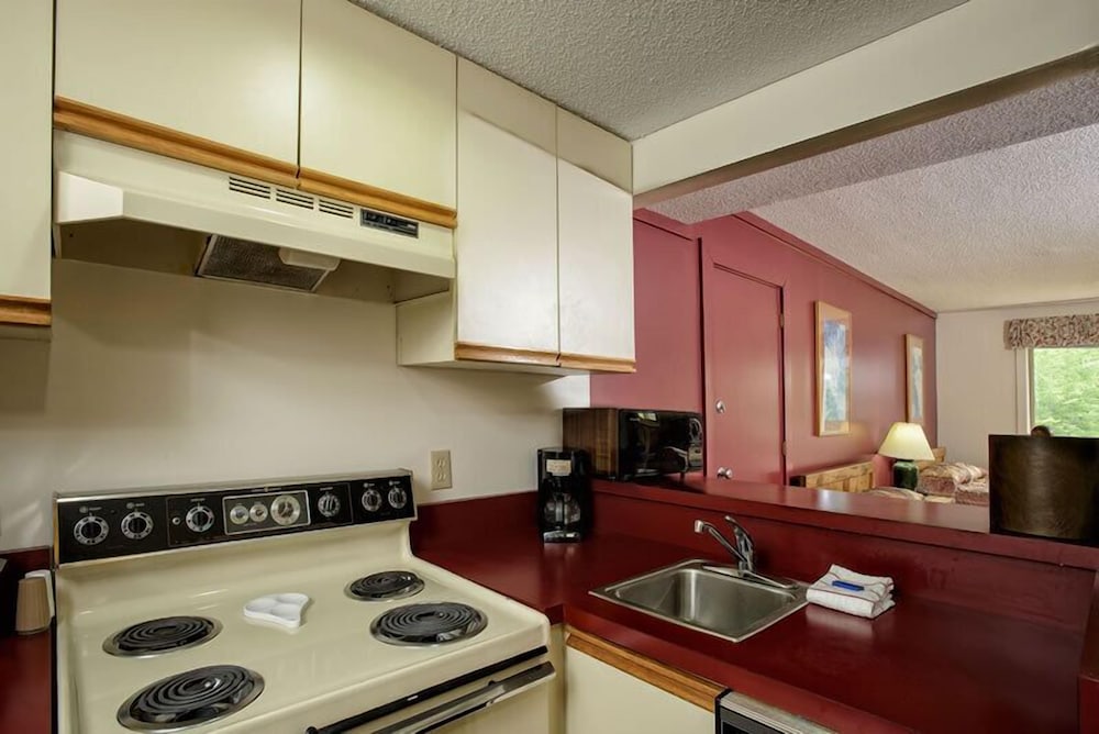Snowy Owl Inn And Resort - photo 36