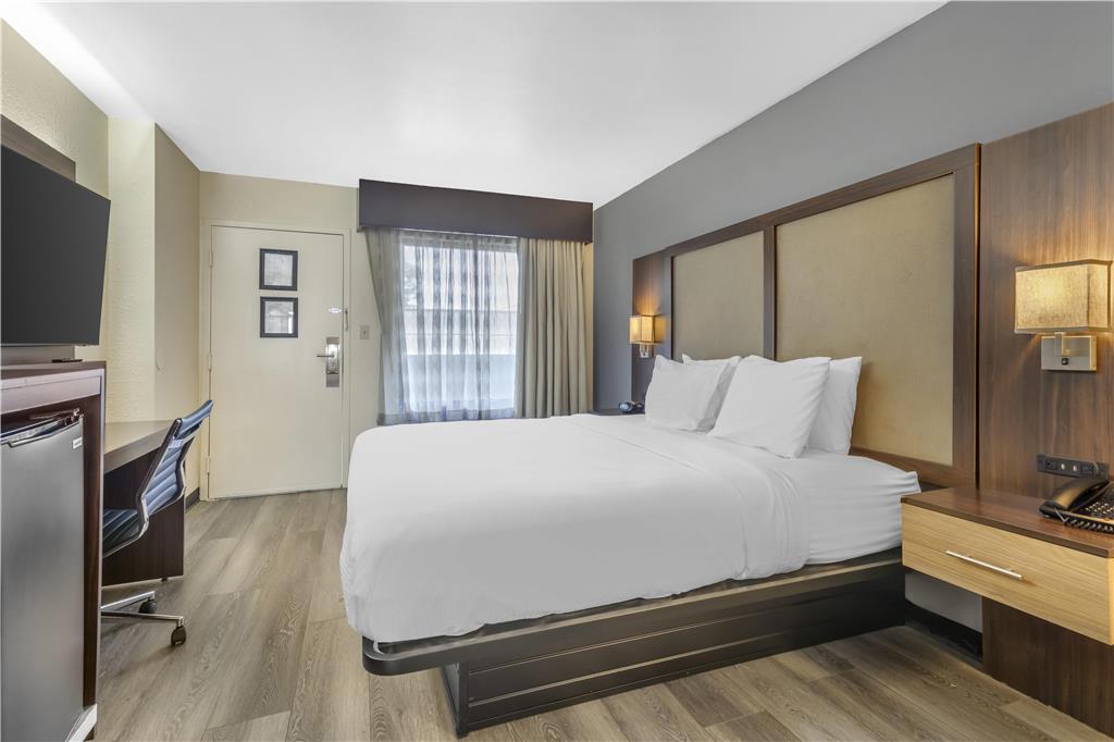 Best Western Salisbury Plaza - photo 33