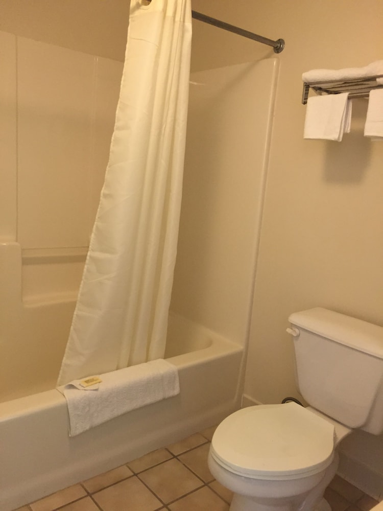 Shelaine Inn - photo 15