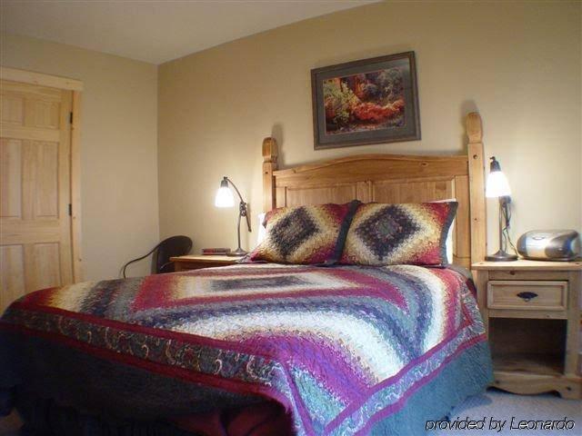 Telluride Alpine Lodging - photo 3