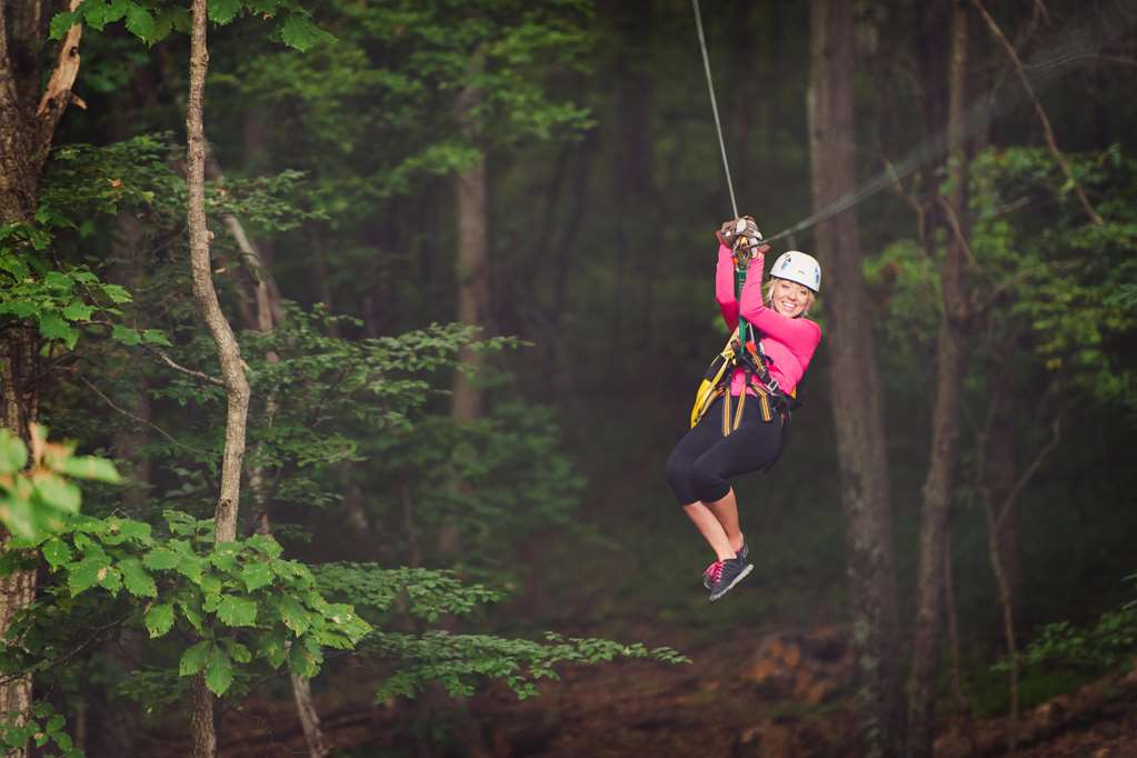 Salamander Resort And Spa - photo 31