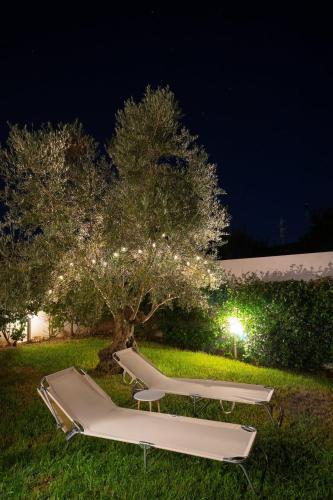 Sardinian Rhapsody in Olbia, Italy