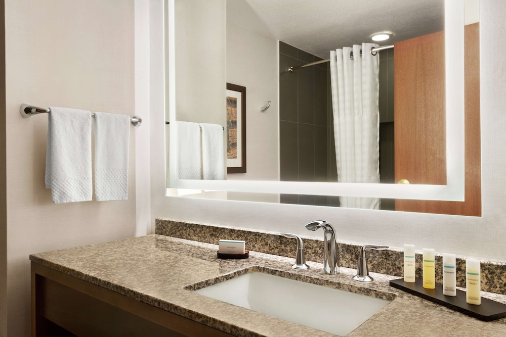Embassy Suites by Hilton Dallas DFW Airport North - photo 40