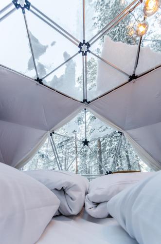 GLØD Aurora Canvas Dome — Alta — photo 4