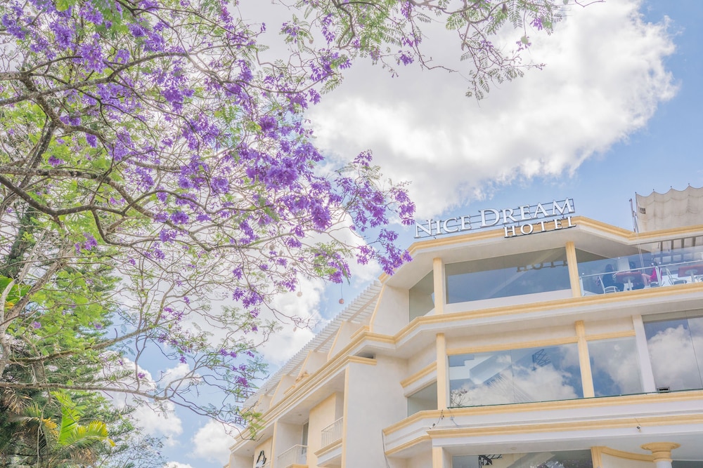 Nice Dream Dalat Hotel - last minute hotel in Da Lat