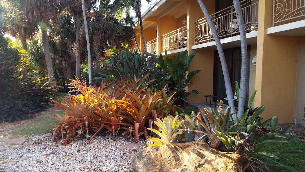 Hampton Inn Key Largo Manatee Bay - photo 55