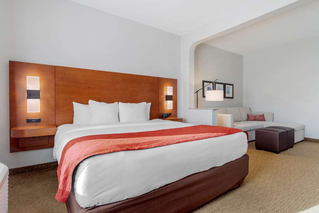 Comfort Suites La Porte Baytown - photo 21