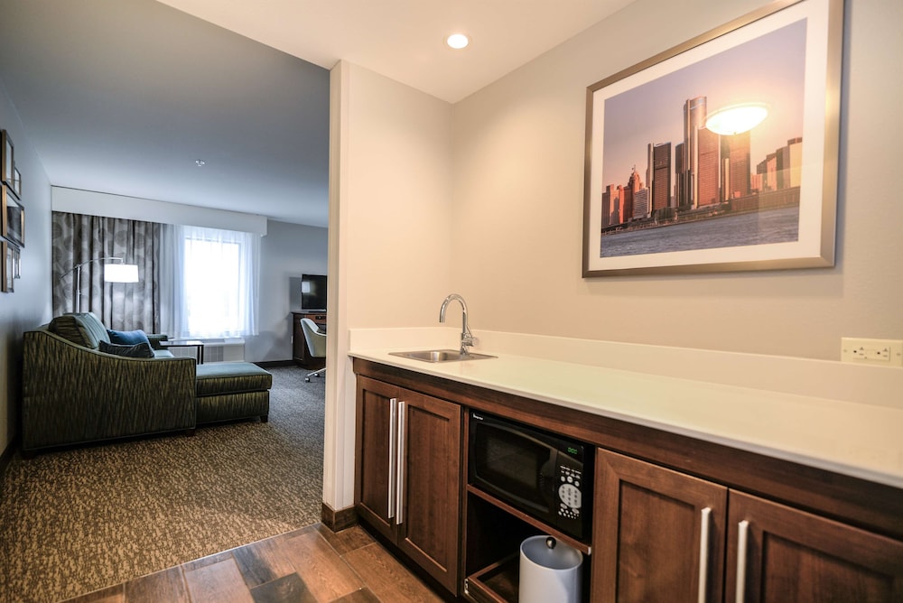 Hampton Inn Brighton - photo 34