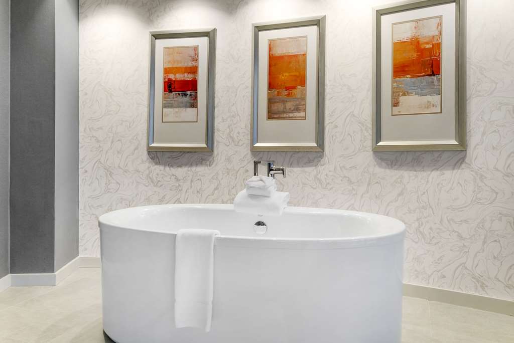 Radisson Plaza Hotel at Kalamazoo Center - photo 74