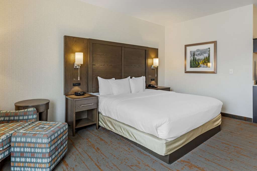 Comfort Inn & Suites Brighton Denver NE Medical Center - photo 8