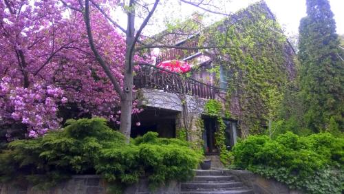 Cola Panzió in Szentendre, Hungary