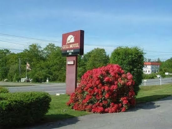 The Gull Motel - photo 5
