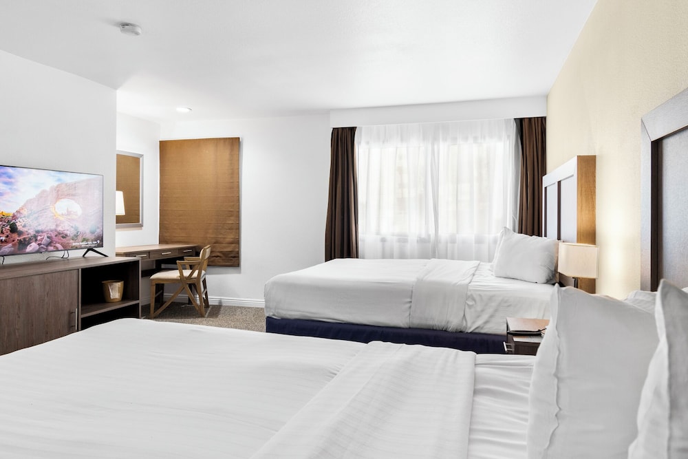 Serene Vegas Boutique Hotel Las Vegas - photo 22