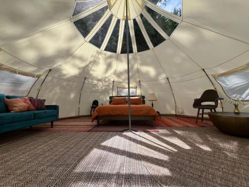 Tree Top Sanctuary Cowichan Valley — Duncan