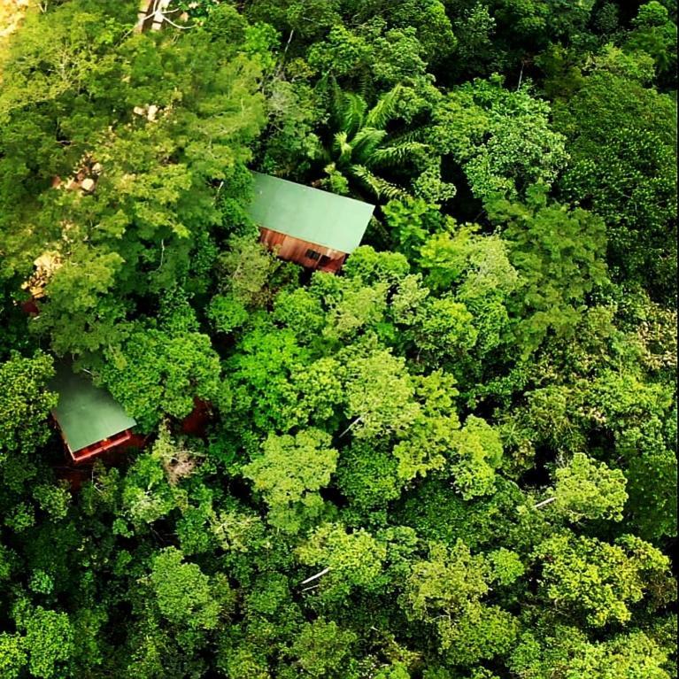La Luciole Ecolodge in Paraty, Brasil