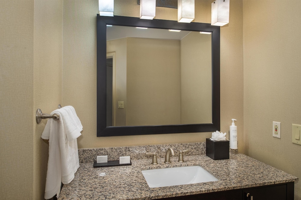 Hampton Inn by Hilton St. Louis Airport - photo 67