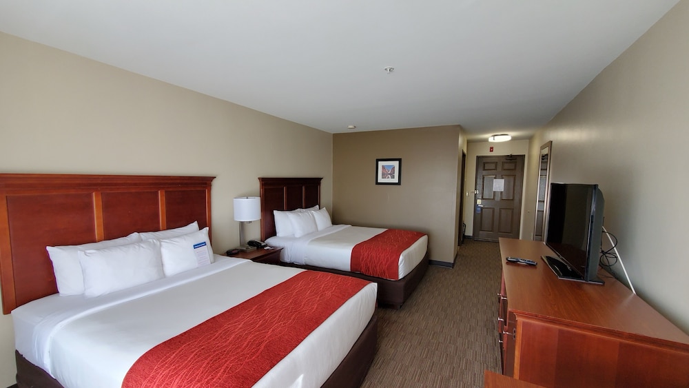 City Express by Marriott Tempe - photo 13
