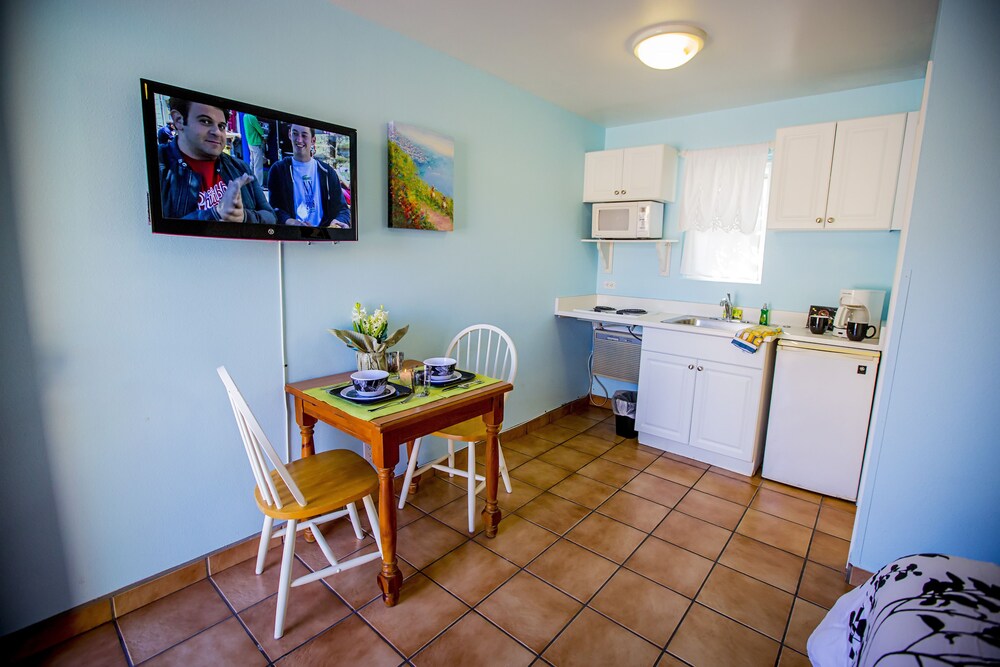 Leucadia Beach Inn - photo 29