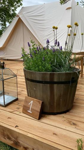 Green Glamping — Sonderborg — photo 2