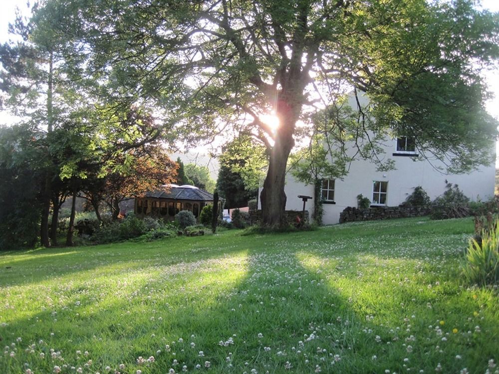 The Tree Relaxation Retreat