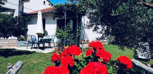 Studio Benassi — 4-Star Luxury Hotel in Porec, Croatia