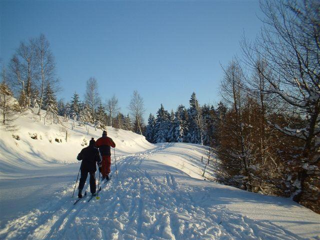 Penzion U Kozy in Chribska, Czech Republic