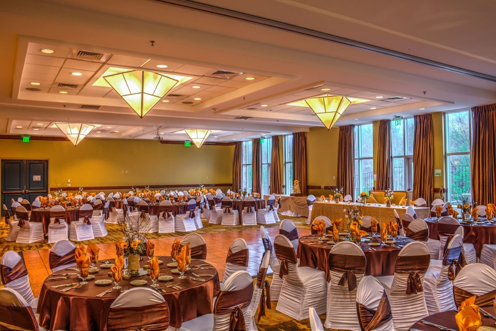 Holiday Inn San Antonio Seaworld by IHG - photo 45