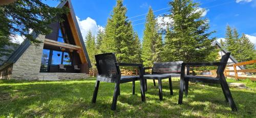 Basna FoRest in Zabljak, Montenegro