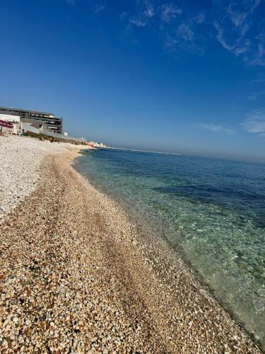 Sul Mare — Molfetta — photo 3