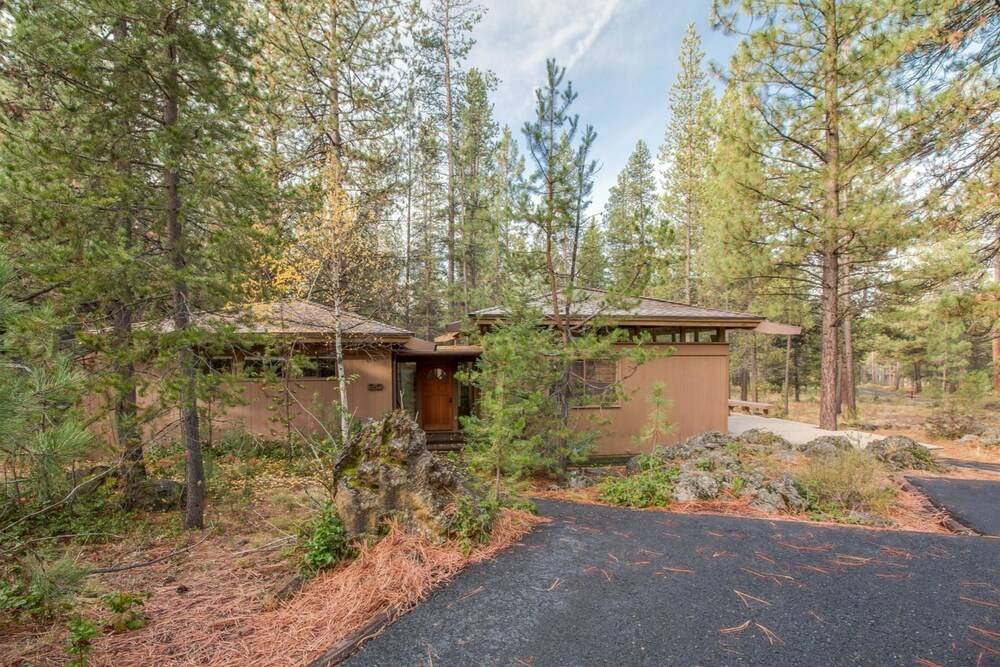 Coyote 20 - photo 22