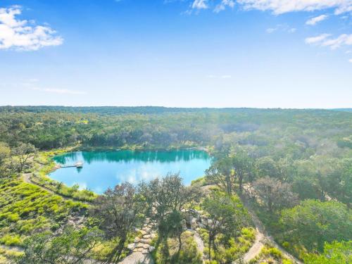 Wild Candy Ali Oti in Wimberley, United States