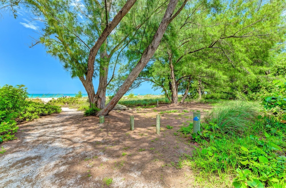 Anna Maria Island Beach Palace - photo 5